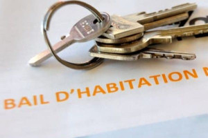 வாடகை பாக்கிகள் இருந்தால்  வீட்டு உரிமையாளருக்கு நேரடியாக வழங்கப்படும் APL!!