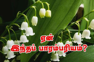மே 1 - மலர்க்கொத்து வழங்குவது ஏன்?