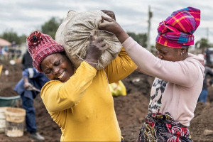 தென் ஆபிரிக்காவில் ஆரம்பமான திடீர் தங்க அகழ்வு - குவியும் மக்கள்