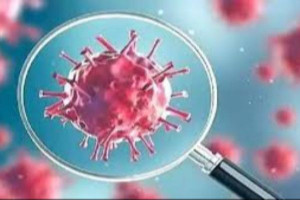  சிக்காடா கொரோனா வைரஸ் - உலக சுகாதார அமைப்பு வெளியிட்டுள்ள தகவல்