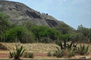 மெக்சிகோவில் துப்பாக்கிச் சூடு - பெண் ஒருவர் பலி