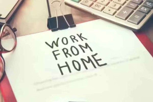 இலங்கையில் வீட்டில் இருந்தே வேலை செய்யும் முறை? அமைச்சர் விளக்கம்