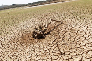 இலங்கையில் கடும் வறட்சி - கொழும்பின் பல பகுதிகளில் நீர் விநியோகக் கட்டுப்பாடு