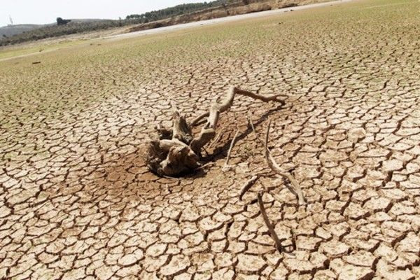 இலங்கையில் கடும் வறட்சி - கொழும்பின் பல பகுதிகளில் நீர் விநியோகக் கட்டுப்பாடு