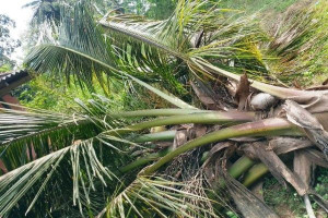 கிளிநொச்சியில் விவகாரத்து கோரிய மனைவி - கோபத்தில் கணவன் செய்த செயல்