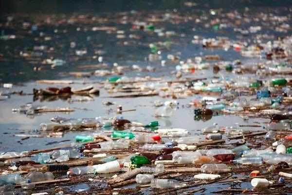 இலங்கையில் சுற்றுச்சூழல் பிரச்சினைகளை முறையிட புதிய இலக்கம் அறிமுகம்