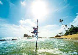 தலையெடுக்கும் நவம்பர் எதிரொலிகள்