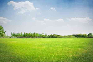 குடியேற்றத் திட்டங்களின் அரசியல்