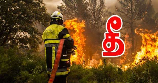 காட்டுத் தீ எச்சரிக்கை - வருட ஆரம்பத்திலிருந்து 9,000 தீப்பற்றல்கள்!