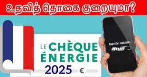 எரிசக்தி காசோலை - உதவித் தொகை குறையுமா?  - அமைப்புகளின் கவலை!