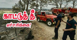 காட்டுத்தீ அபாயம் - செம்மஞ்சள் எச்சரிக்கை!