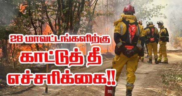 28 மாவட்டங்களிற்கு காட்டுத்தீ அபாயம் – செஞ்சிவப்பு எச்சரிக்கை!