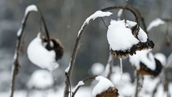 வருகிறது பனிப்பொழிவு!!