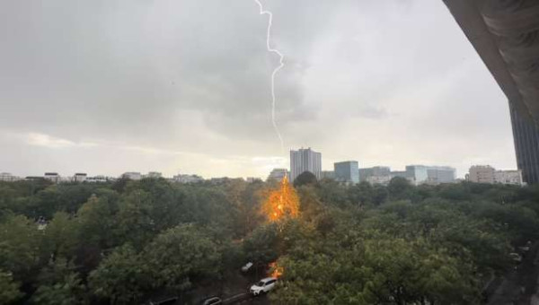 Montparnasse மயானத்தில் விழுந்த இடி! - தீப்பிடித்த மரம்!