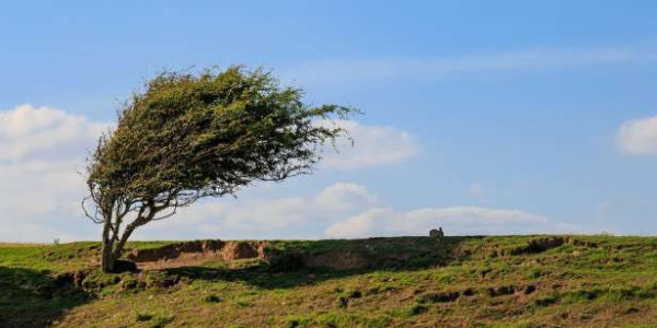 பலத்த காற்று : ஆறு மாவட்டங்களுக்கு எச்சரிக்கை!!