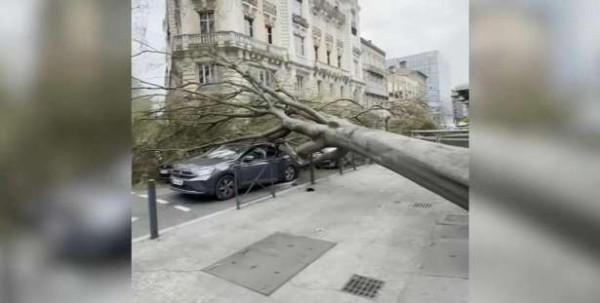 புயல் : மரம் முறிந்து விழுந்து ஒருவர் பலி!!