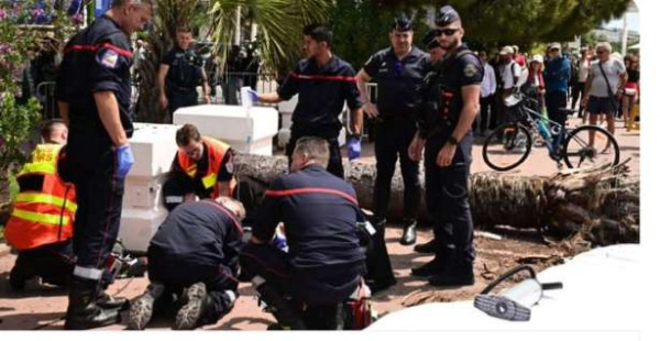 பனைமரம் முறிந்து விழுந்து -Cannes திரைப்பட விழாவில் அசம்பாவிதம்..!!