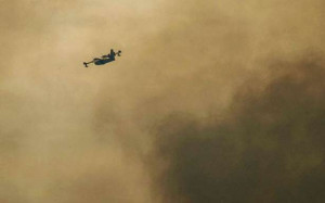 400 ஹெக்டேயர் காடு தீக்கிரை.. 500 தீயணைப்பு படையினர் குவிப்பு!!