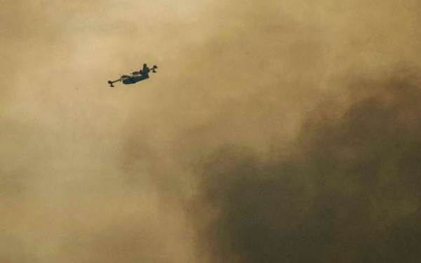 400 ஹெக்டேயர் காடு தீக்கிரை.. 500 தீயணைப்பு படையினர் குவிப்பு!!