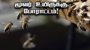 கலைத்து கலைத்துக் கொட்டிய தேனீ! - 20 பேர் மருத்துவமனையில்...!!