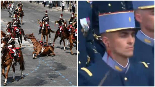 தேசிய நாள் அணிவகுப்பின் போது விழுந்த குதிரை வீரர்!!