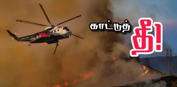 அபாயம் : 10 மாவட்டங்களில் காட்டுத்தீ!!