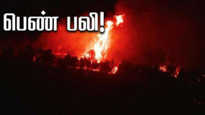 பெண் பலி… காட்டுத்தீயினால் 11,000 ஹெக்டேயர்கள் நாசம்!