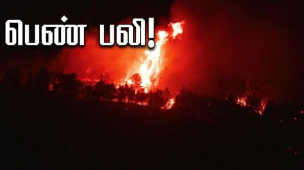 பெண் பலி… காட்டுத்தீயினால் 11,000 ஹெக்டேயர்கள் நாசம்!