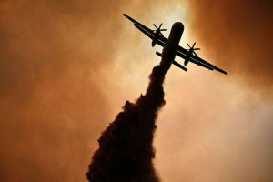 அதிகரித்துச் செல்லும் தீ பரவல்… 16,000 ஹெக்டேயர் காடு நாசம்! - பிரதமர் நேரில் விஜயம்!