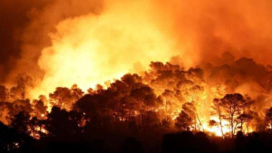 Aude மாவட்டத்தை புரட்டிப்போட்ட தீ..! - நபர் தேடப்படுகிறார்...!!