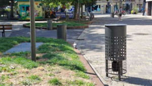 கருத்தடை சோளம்!