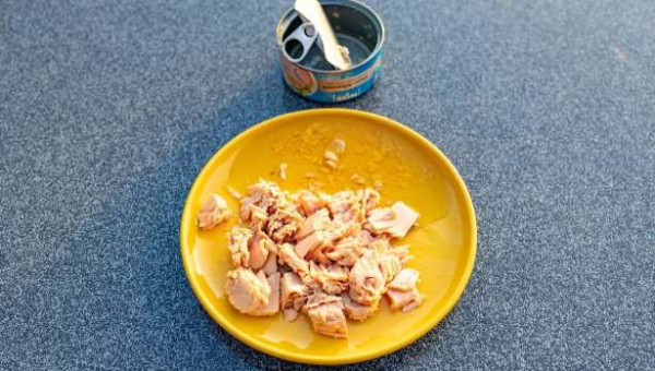 பாடசாலை உணவுகளில் ‘tuna’ மீன்களுக்கு தடை!!