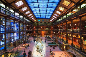 பரிஸ் : அருங்காட்சியகத்தில் கொள்ளையிட்ட சீன பெண்ணுக்கு சிறை!!