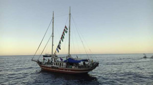 காஸாவுக்கு படகுப்பயணம்! - தடுத்துவைக்கப்பட்டுள்ள 28 பிரெஞ்சு நபர்கள் இன்று திரும்புகின்றனர்!!