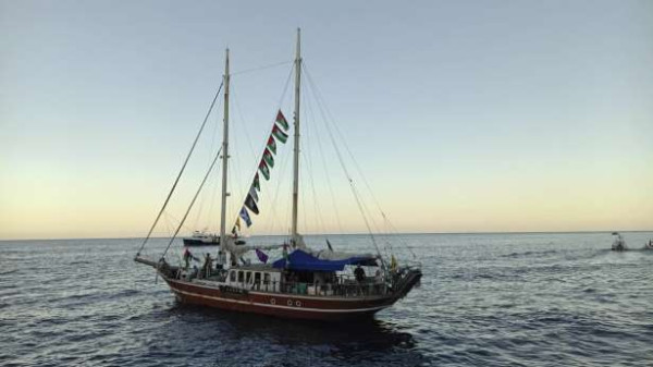 காஸாவுக்கு படகுப்பயணம்! - தடுத்துவைக்கப்பட்டுள்ள 28 பிரெஞ்சு நபர்கள் இன்று திரும்புகின்றனர்!!