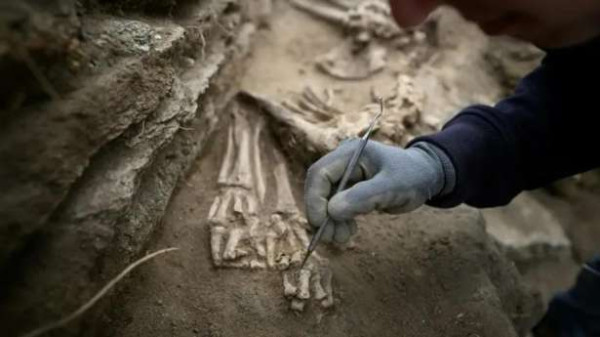 15,000 வருடங்களுக்கு முற்பட்ட நாயின் எலும்புக்கூடு கண்டுபிடிப்பு!!