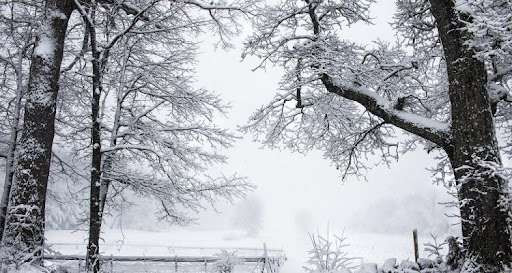 பனிப்பொழிவு, வெள்ளம், பனிச்சரிவு- பல்வேறு மாவட்டங்களுக்கு எச்சரிக்கை!