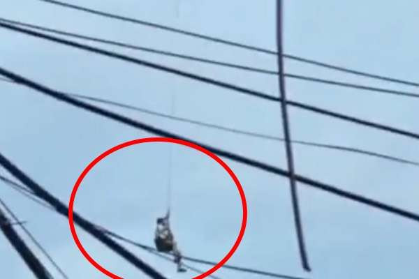 சீனாவில் மழை வெள்ளத்தில் சிக்கியவரை காப்பாற்றிய டிரோன்...