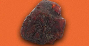 வீட்டின் வாசற்படி கல் ரூ.9.2 கோடி ரூபாய்! ஆச்சரிய தகவல்