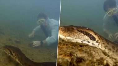 உலகின் மாபெரும் அனகோண்டா பாம்பு., அமேசான் காடுகளில் கண்டுபிடிக்கப்பட்ட அரிதான இனம்