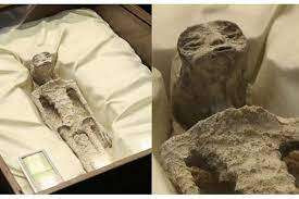 1000 ஆண்டுகள் பழமையான ஏலியன்ஸ்களின் உடல்கள்