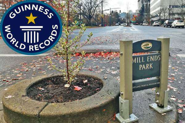 கின்னஸ் சாதனை படைத்த உலகின் மிகச்சிறிய பூங்கா