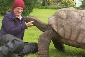 191 வது பிறந்தநாளை கொண்டாடும் உலகின் மிக வயதான ஆமை