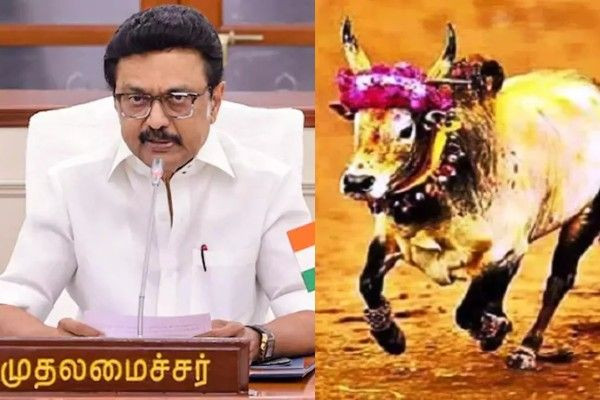ஜல்லிக்கட்டில் சிறந்த வீரருக்கு அரசு வேலை: முதல்-அமைச்சர்  அதிரடி அறிவிப்பு