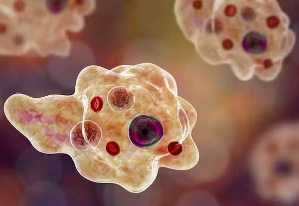 வேகமெடுக்கும் மூளையை தின்னும் அமீபா தொற்று; பாதிக்கப்பட்டோர் எண்ணிக்கை 71 ஆக அதிகரிப்பு