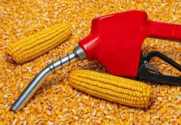 எத்தனால் இறக்குமதிக்கு தடை: இந்தியா மீது அமெரிக்கா புகார்