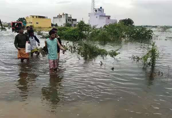 வடசென்னை பகுதிகள் தத்தளிப்பு! புழல் ஏரி நீர் திறப்பால் தனித்தீவானது
