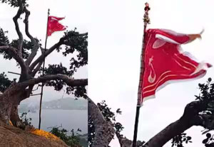 கல்லத்தி மரத்தில் நிலா பிறை கொடி; ஹிந்து மக்கள் கட்சி கண்டனம்