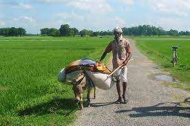 உப்பு வியாபாரியும் கழுதையின் தந்திரமும்