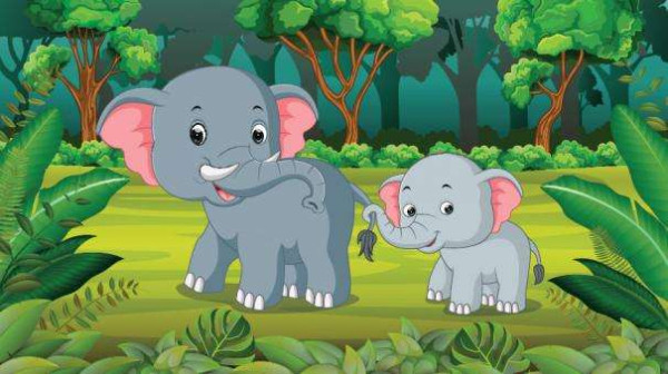 யானை பல் விளக்குமா?